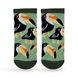 Шкарпетки Premier Socks Тукани, унісекс, короткі, розм. 40-42, 43-45