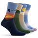 Set of socks for men Premier Socks Landscapes of Ukraine, 4 pairs in a set, size 40-42, 43-45