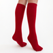Premier Socks &ldquo;Red Accent&rdquo; socks, size 36-39