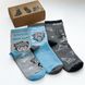 Набір шкарпеток Premier Socks  Для вчителів , унісекс, 3 пари в наборі, розм. 36-39, 40-42, 43-45