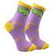 Набір дитячих шкарпеток Premier Socks "Дино-Трійця", розм. 16-18,20-22