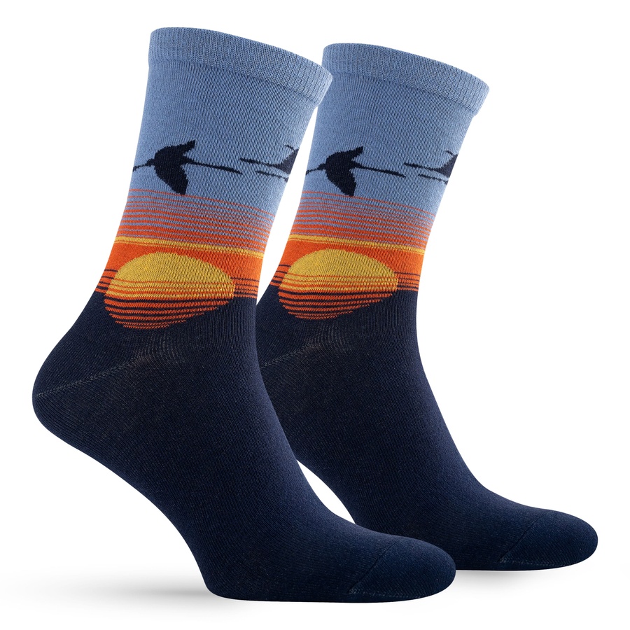 Set of socks for men Premier Socks Landscapes of Ukraine, 4 pairs in a set, size 40-42, 43-45